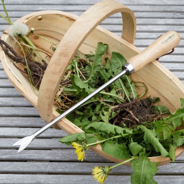 RHS-dandelion-weeder-lifestyle-01