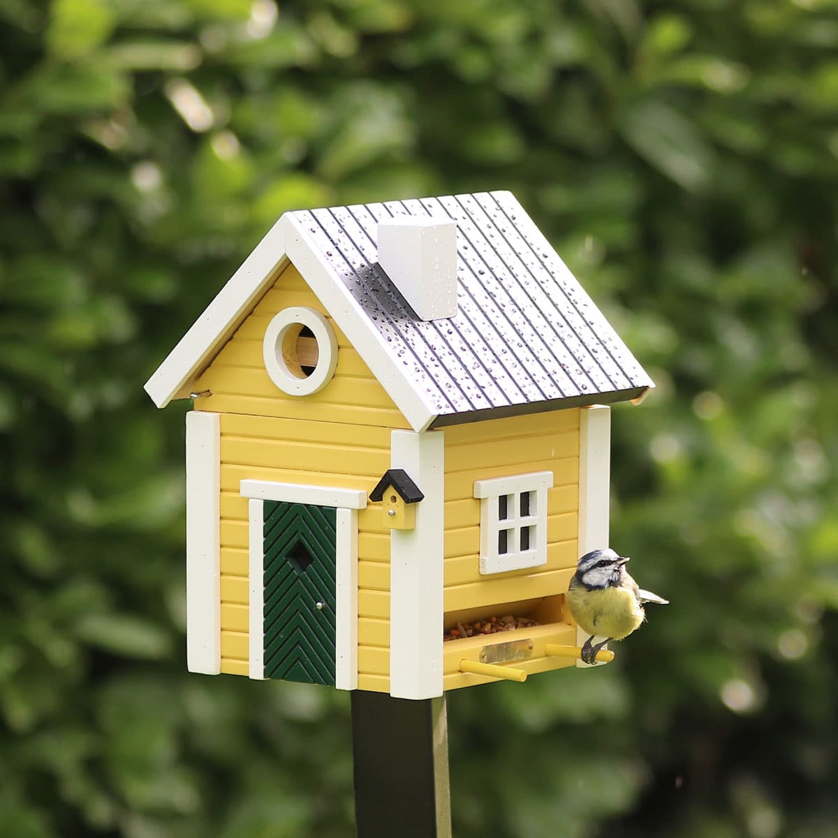 Multiholk Gult hus - Bilde 5