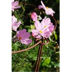 Plantestøtte 70 cm