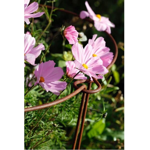 Plantestøtte 70 cm