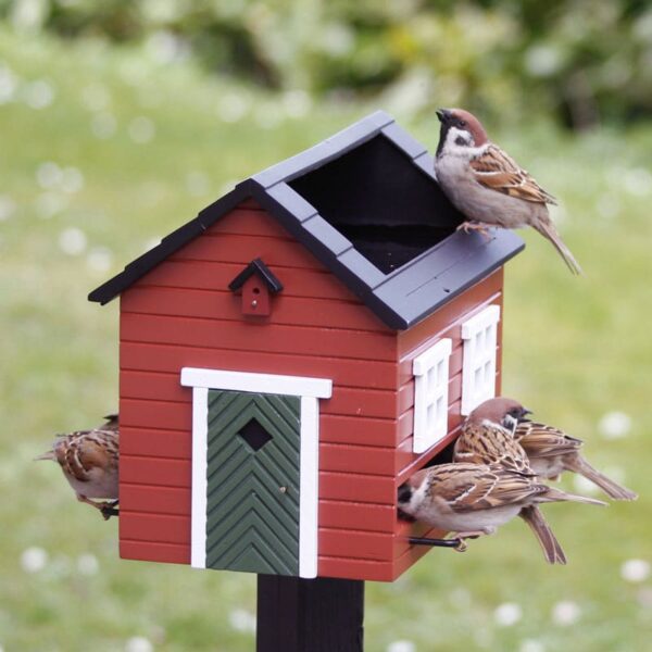 Fuglemater med bad - rødt hus