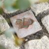 10x10 | Forkobret Sommerfugl |