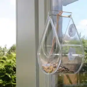 Fuglemater for vindu duggdråpe