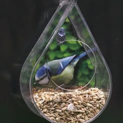 dew-drop-window-bird-feeder-with-bird_1024x1024