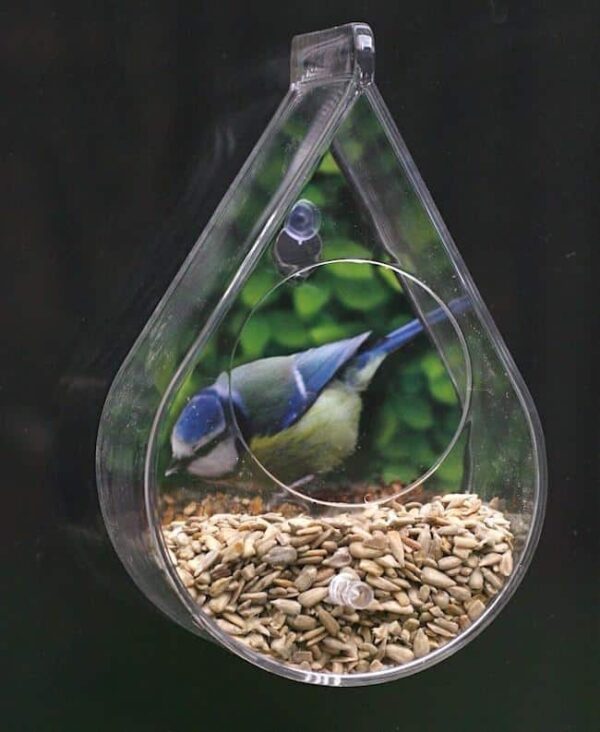 dew-drop-window-bird-feeder-with-bird_1024x1024