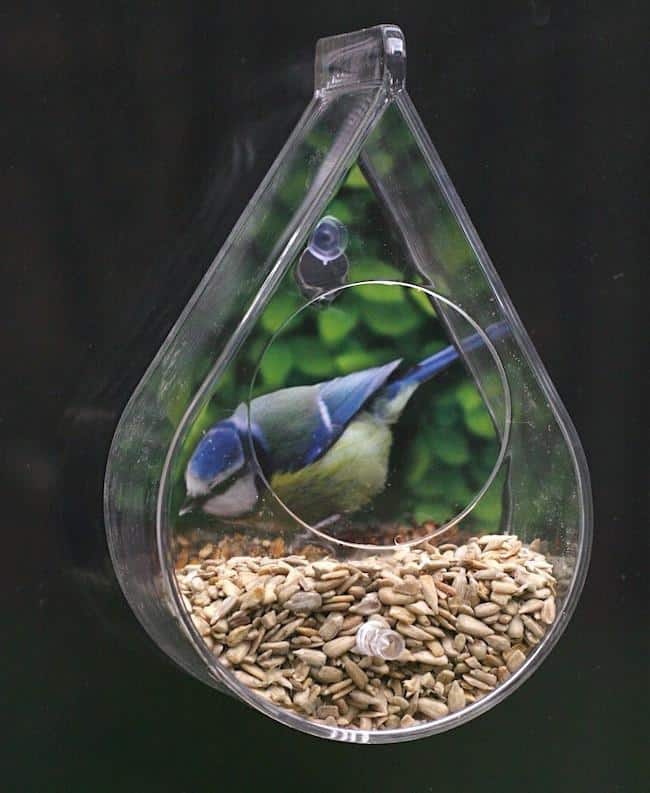 Dew Drop Window Bird Feeder