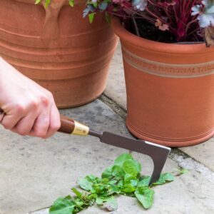 NT-BB-patio-weeding-knife-1_IGH