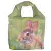 handlenett hare