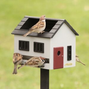 Fuglemater med bad - grått hus