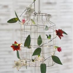 clematis2-469x700h_1080x1080