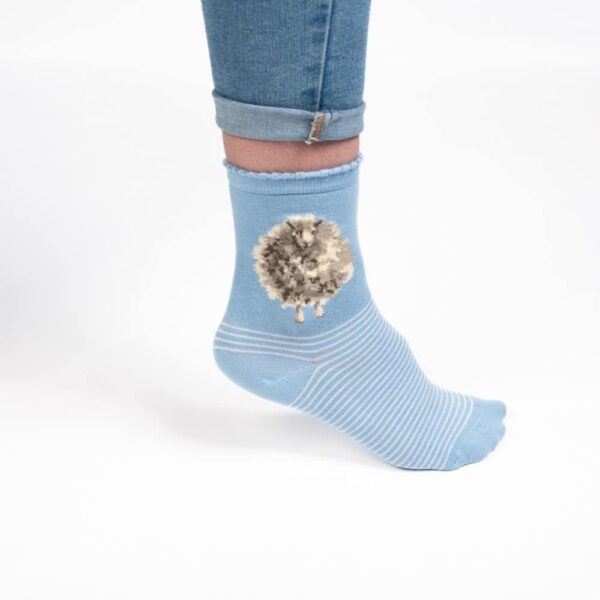 sock008_c