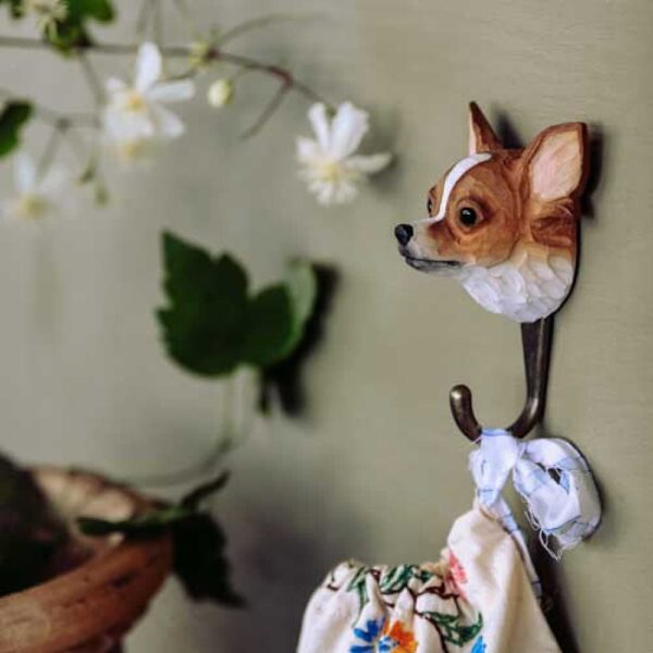 Decohook Chihuahua - Bilde 3