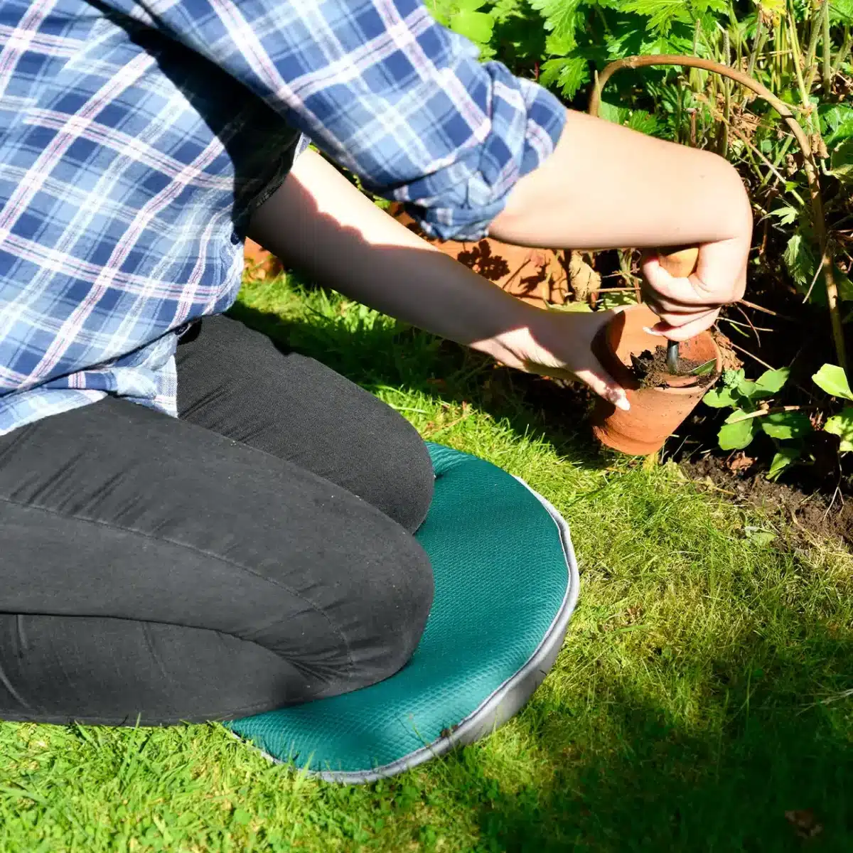 Kneelo knelepute Evergreen - Bilde 2
