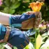 Hagehansker Denim S/M