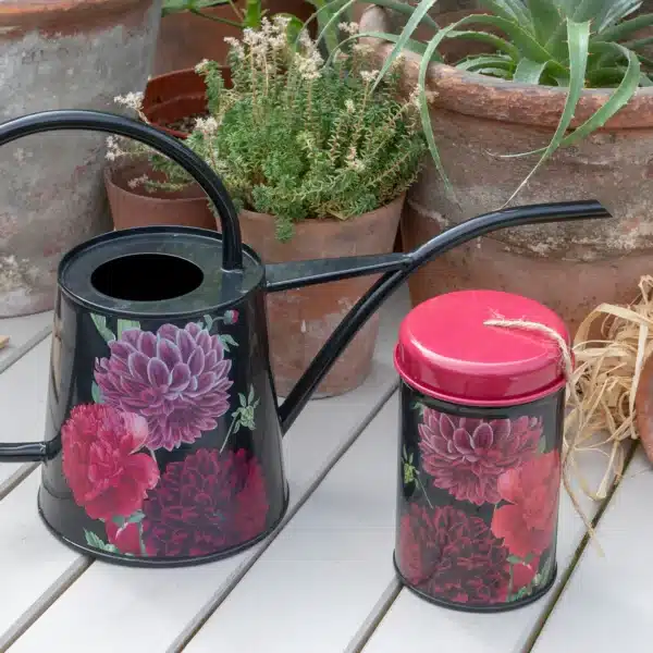British Bloom hyssing i boks - Bilde 3