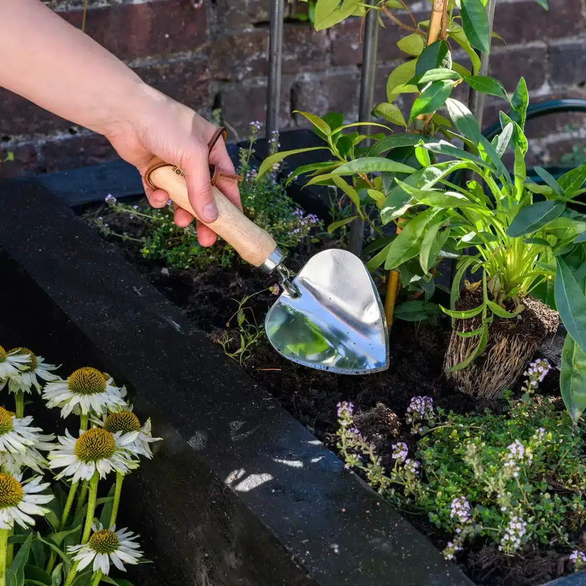BB plantespade hjerteformet - Bilde 3