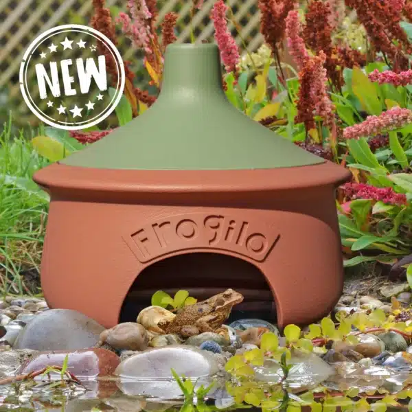 Eco Frogilo Froskehus