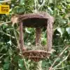 Open nest buddy