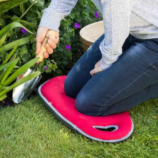 Kneelo knelepute Plomme - Bilde 2