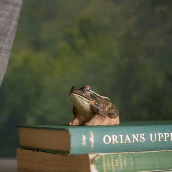 Frosk håndskåret i tre