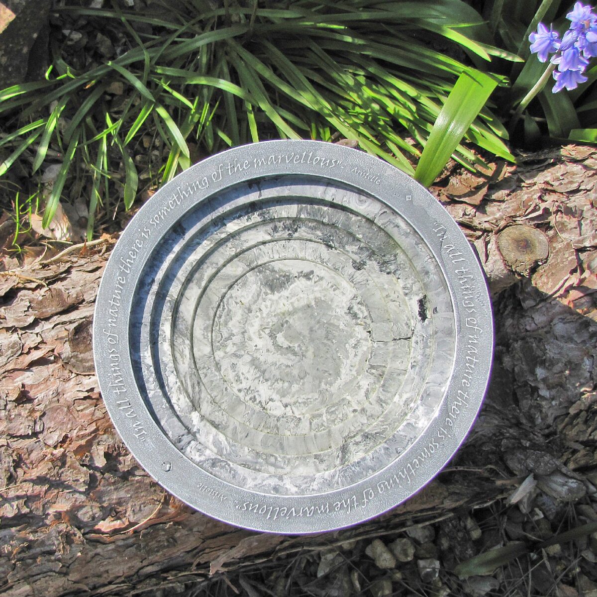 Fuglebad Oasis - Bilde 3