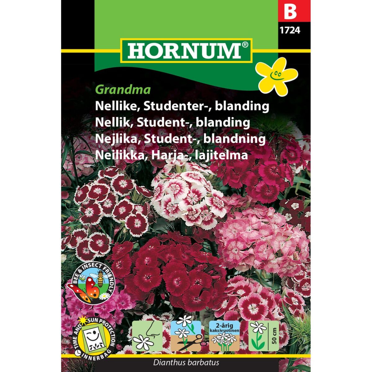 Busknellik 'Grandma'