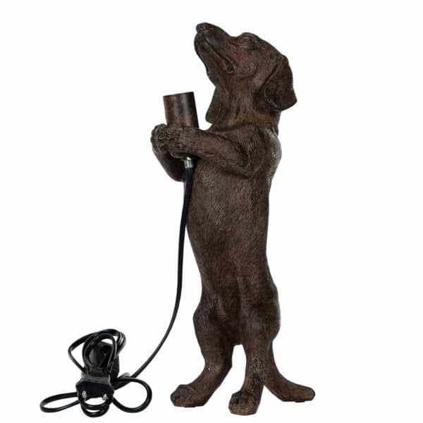 Lampe Dachs Brun - Bilde 3
