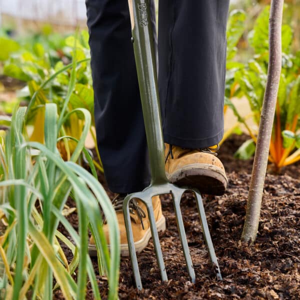 BoronGreen Border Fork RHS FSC 100% - Bilde 2