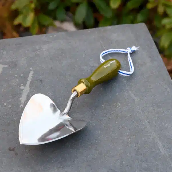 Collectors Range Olive Planting Trowel FSC 100% - Bilde 3