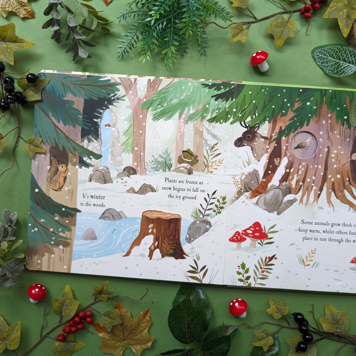 Utforsk skogen Kikk bak klaffen bok - Bilde 3
