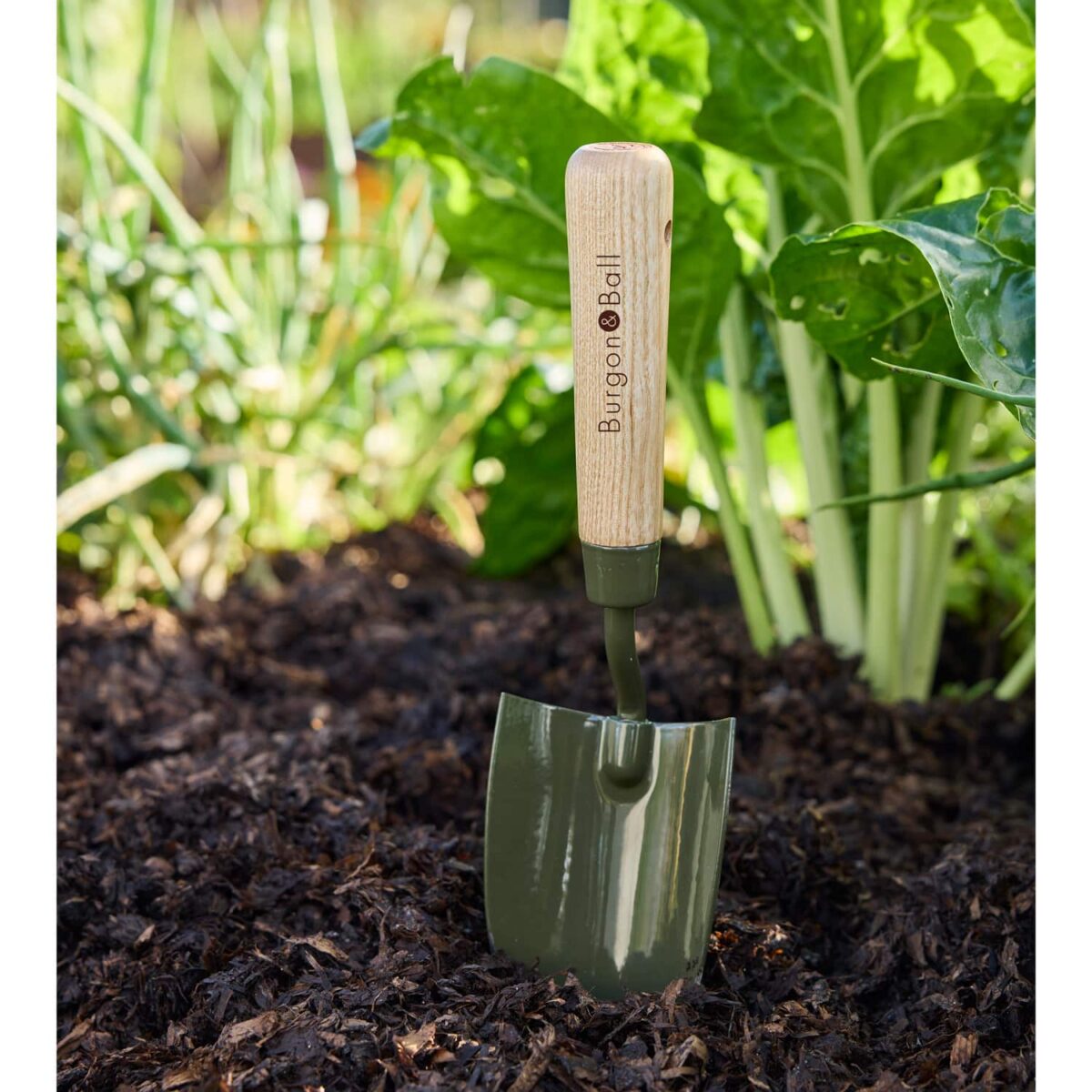 BoronGreen Hand Trowel RHS FSC 100% - Bilde 5