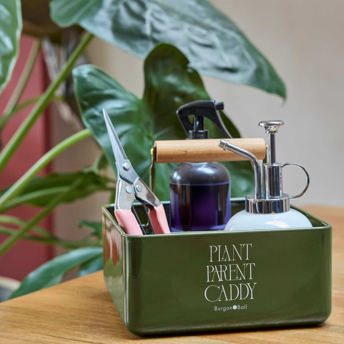 Plant parent caddy