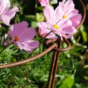 Plantestøtte løkke 90 cm