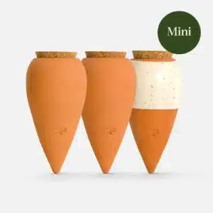 olla