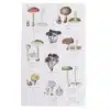 mushrooms