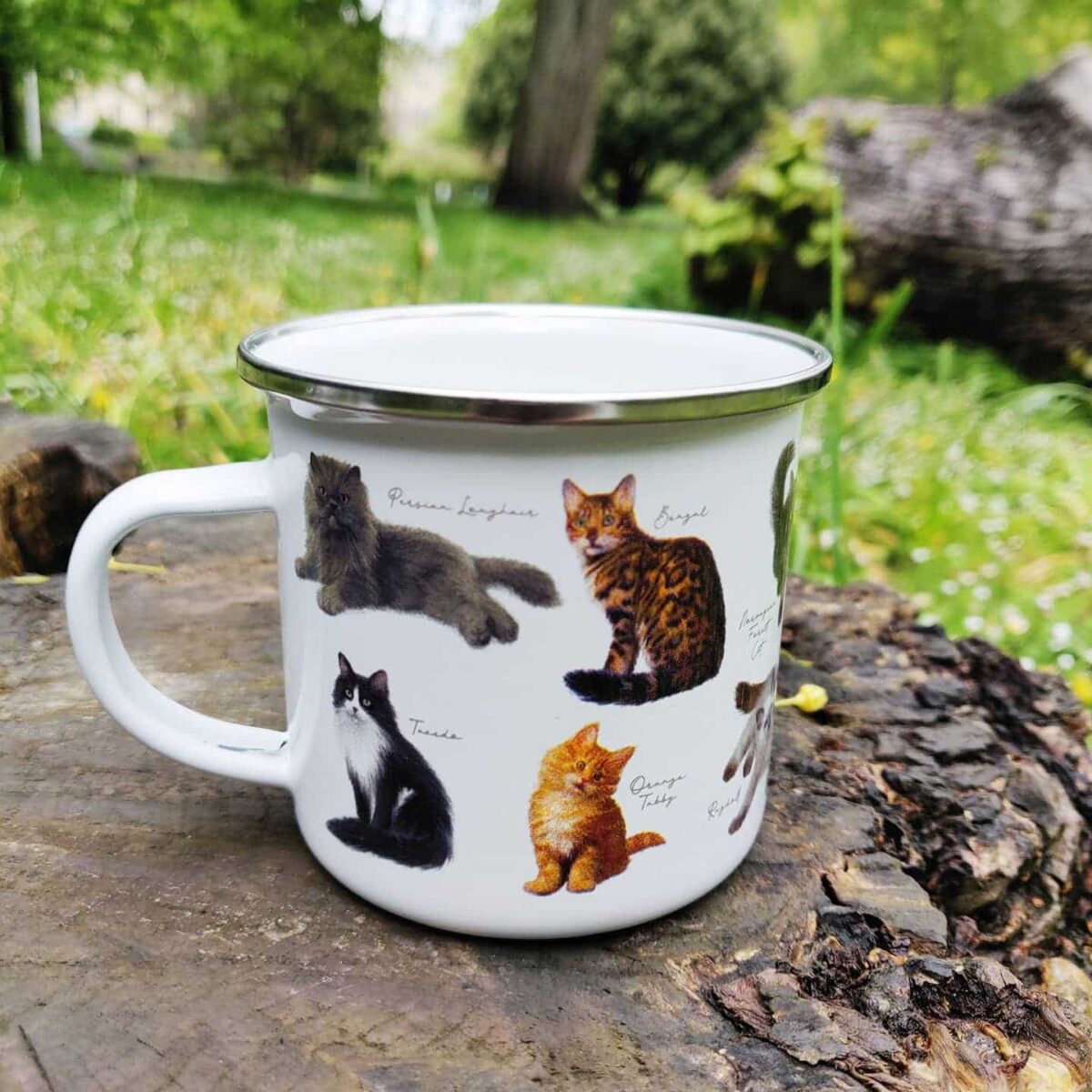 Emaljekopp Katter - Bilde 3