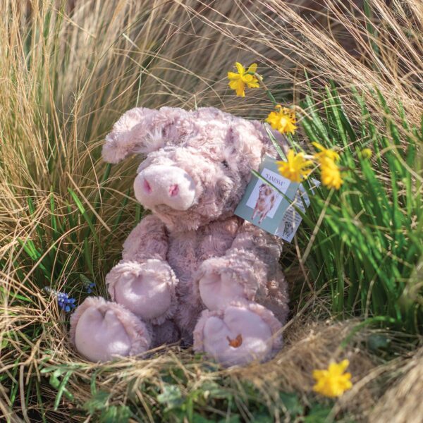 Wrendale kosedyr gris - Bilde 3