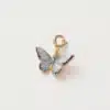 blue butterfly