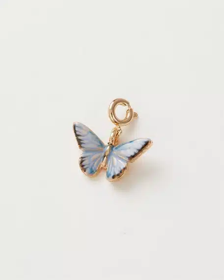 blue butterfly