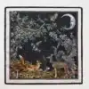 A Nights Tale