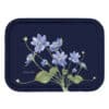 Anemone