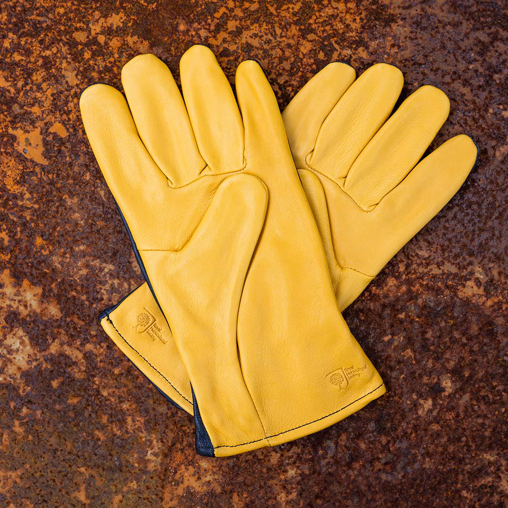 Gold Leaf hagehansker Dry Touch Dame - Bilde 2