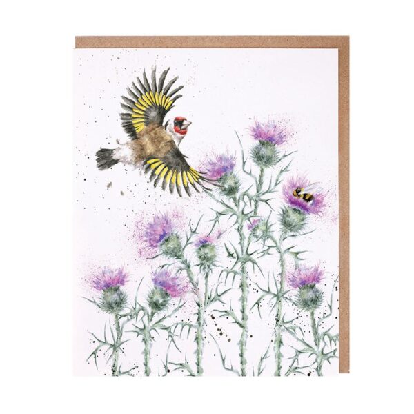 Feathers and Thistles